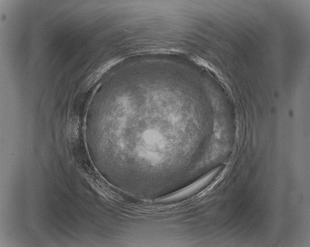 X0000083621161200702201308