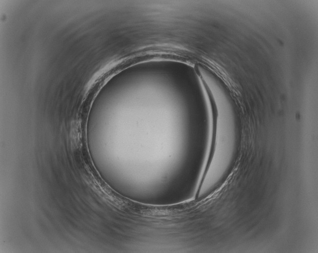 X0000083621164200702201308