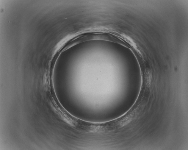 X0000083621176200702201308