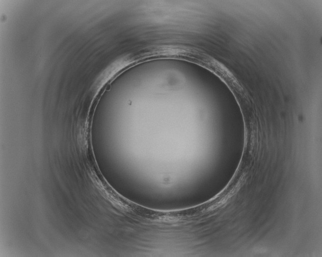 X0000083621178200702201308