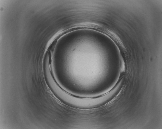 X0000083621180200702201308