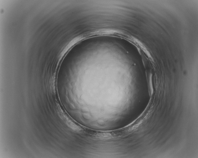 X0000083621186200702201308
