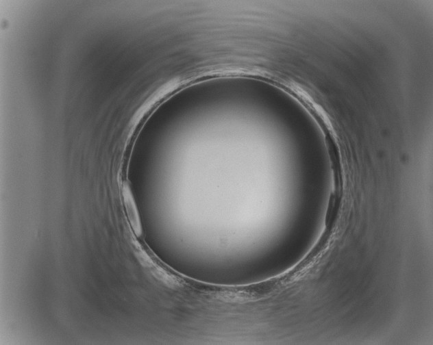 X0000083621189200702201308