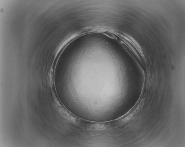 X0000083621190200702201308