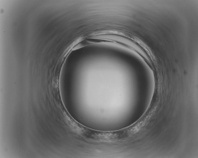 X0000083621193200702201308