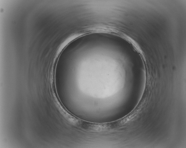 X0000083621195200702201308