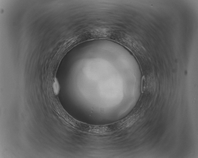 X0000083621201200702201307