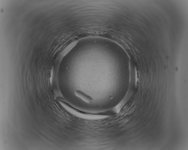 X0000083621202200702201307