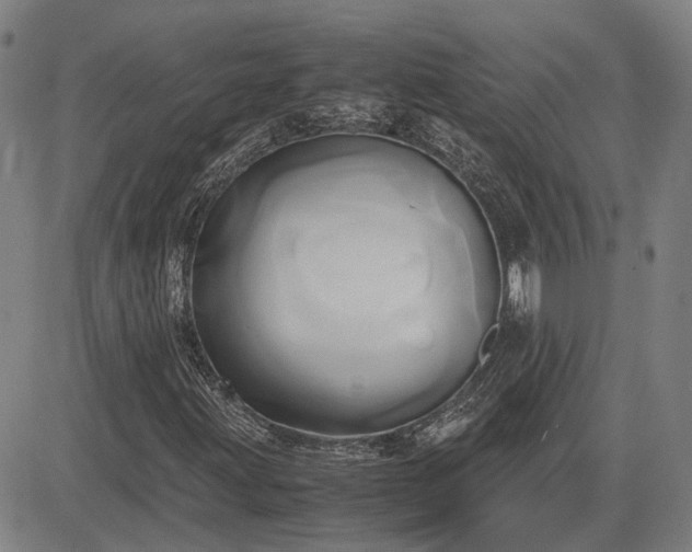 X0000083621203200702201307