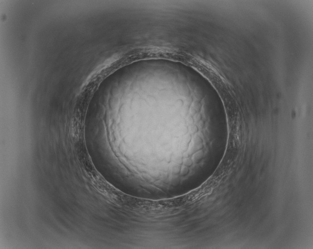 X0000083621207200702201307