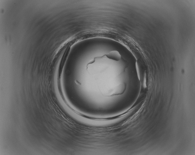 X0000083621210200702201307