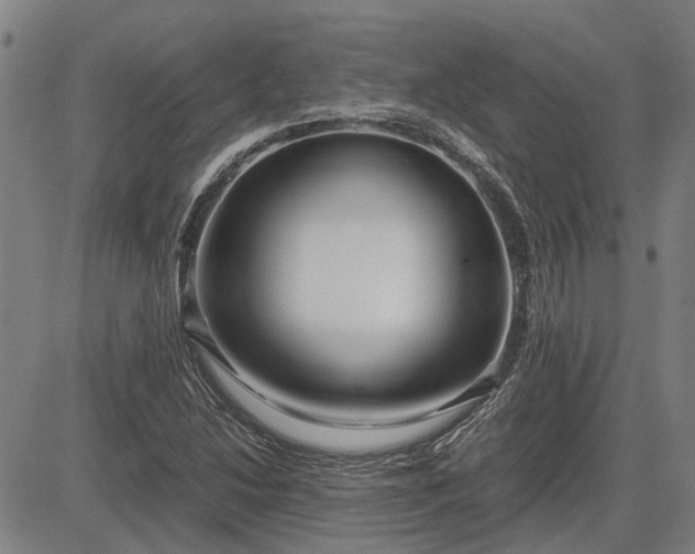 X0000083621214200702201307