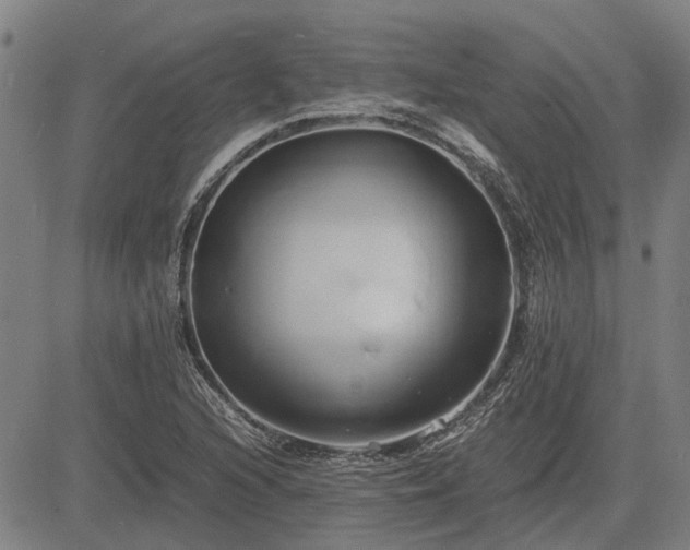 X0000083621216200702201307