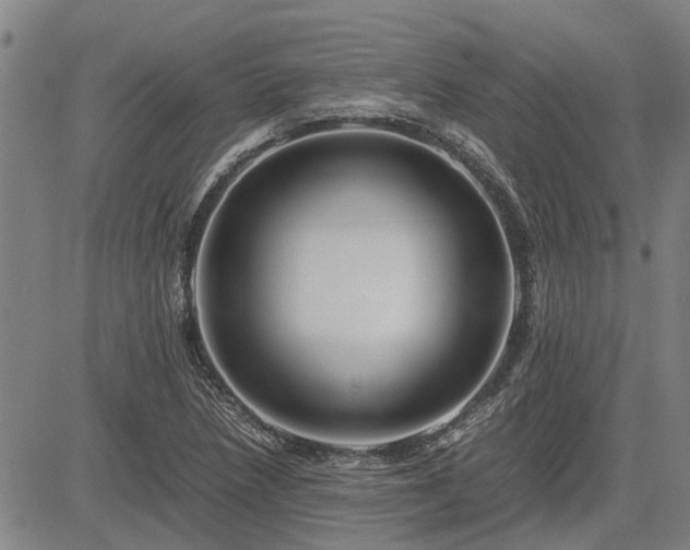 X0000083621218200702201307