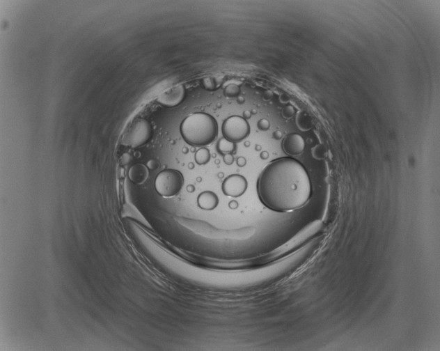 X0000083621219200702201307