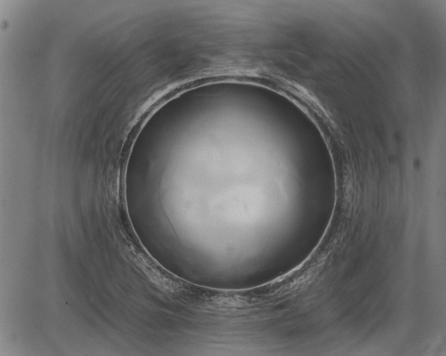 X0000083621220200702201307
