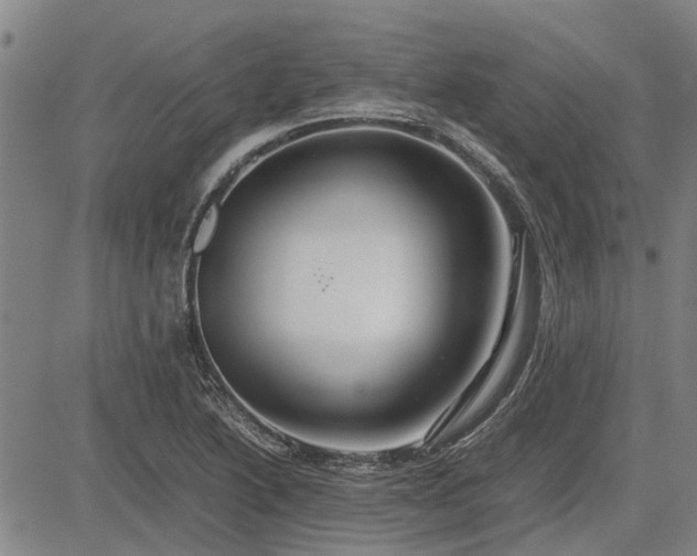 X0000083621222200702201307