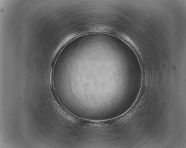 X0000083621227200702201307