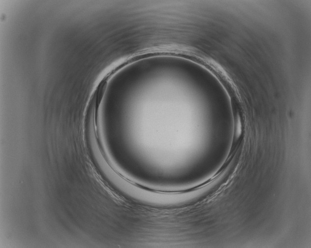 X0000083621230200702201307