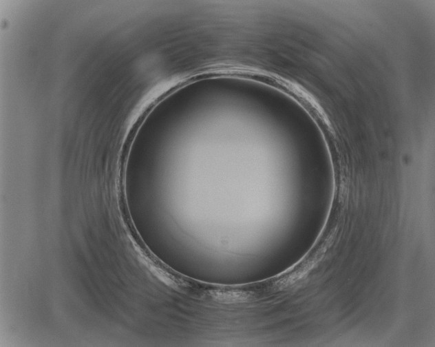 X0000083621231200702201307