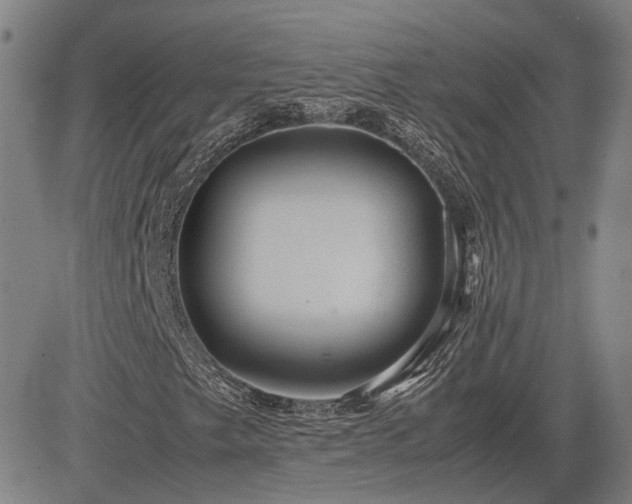 X0000083621249200702201307