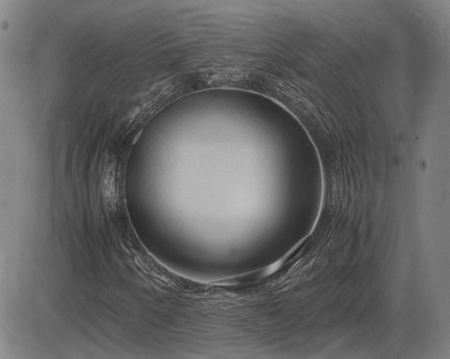 X0000083621250200702201307