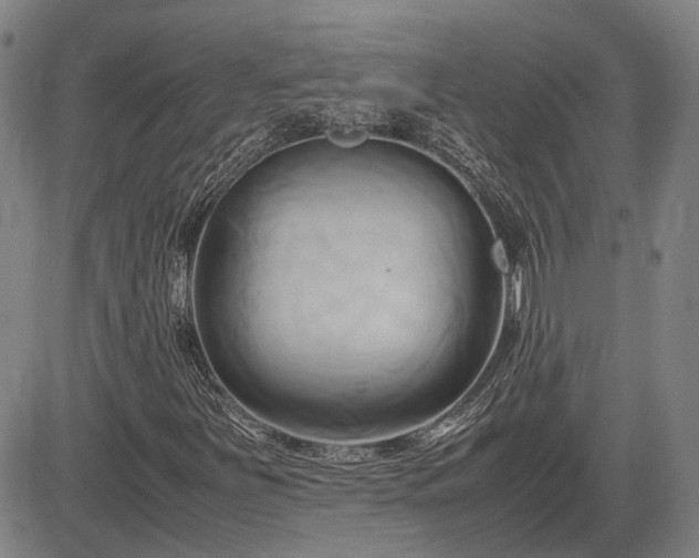 X0000083621251200702201307