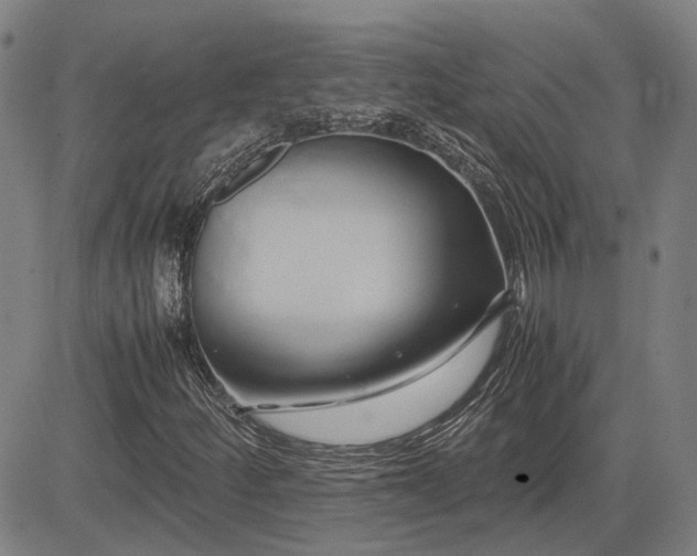 X0000083621252200702201307