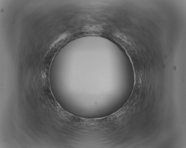 X0000083621254200702201307