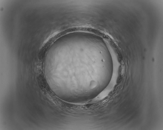 X0000083621255200702201307