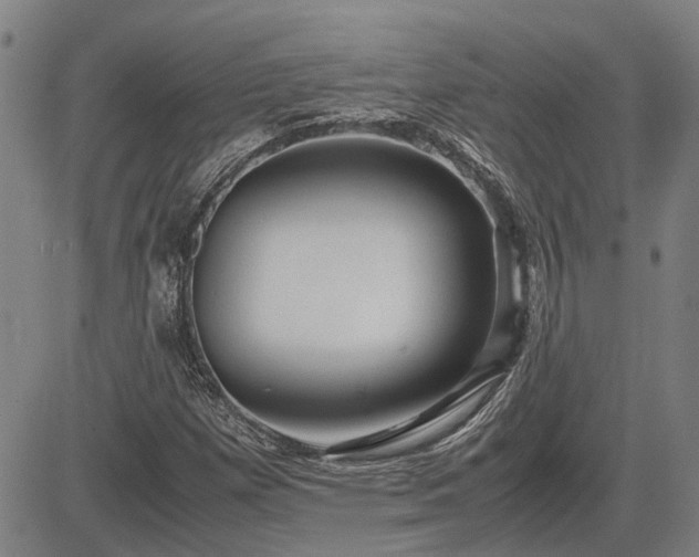 X0000083621257200702201307