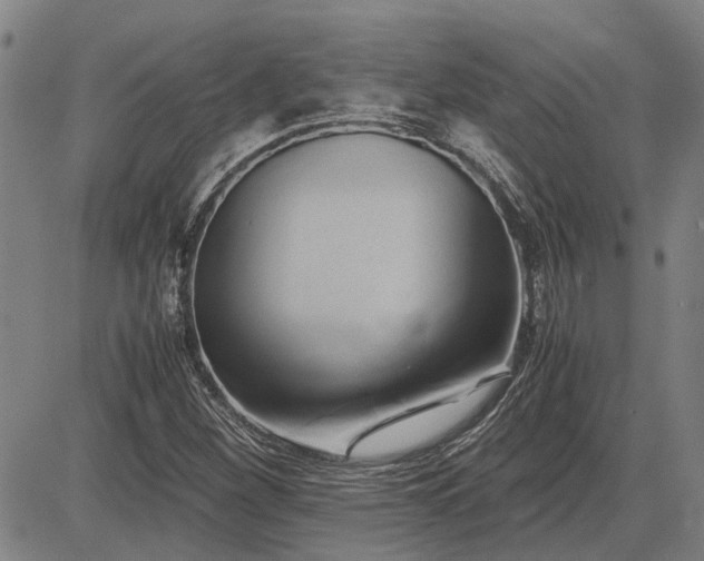 X0000083621260200702201307