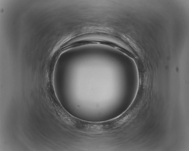 X0000083621261200702201307