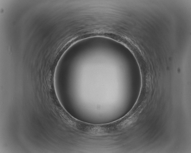 X0000083621265200702201307