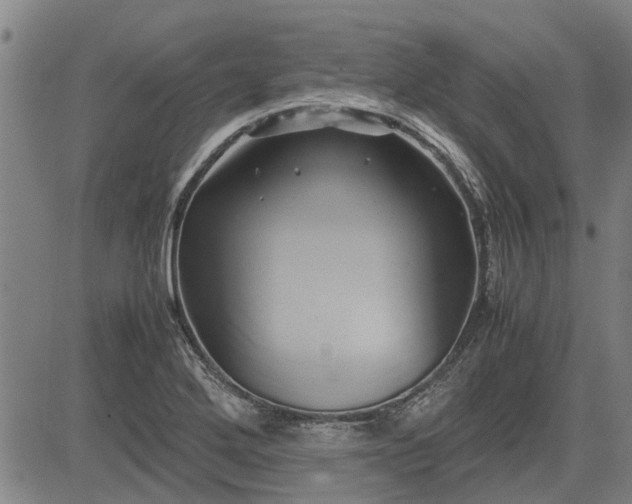 X0000083621272200702201306