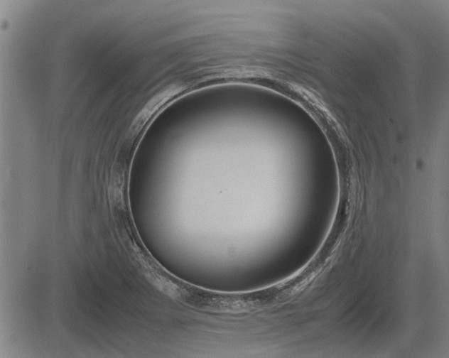 X0000083621273200702201306