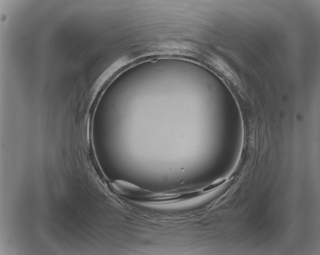 X0000083621275200702201306