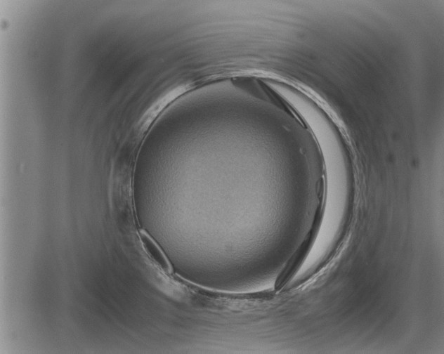 X0000083621289200702201306