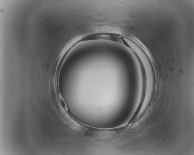 X0000083621293200702201306
