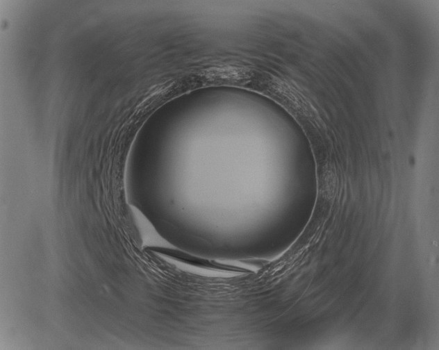 X0000083621297200702201305