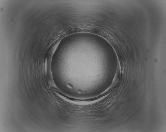 X0000083621298200702201305