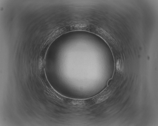 X0000083621299200702201305