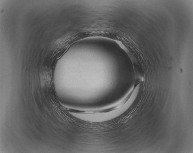 X0000083621300200702201305