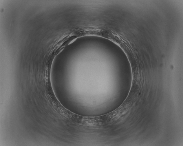 X0000083621301200702201305