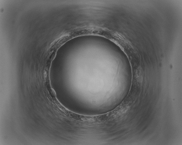 X0000083621302200702201305