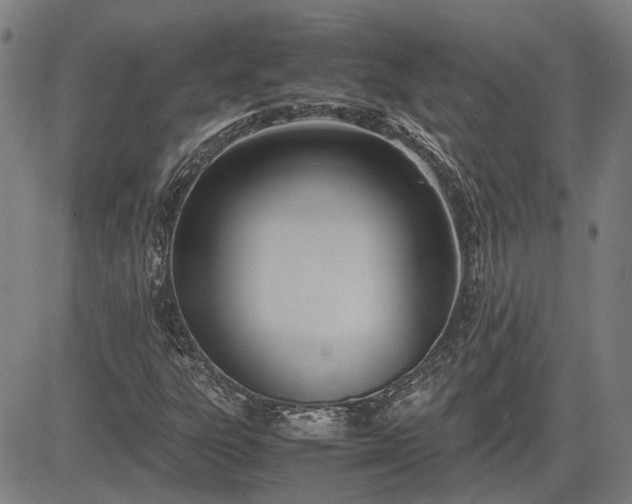 X0000083621303200702201305