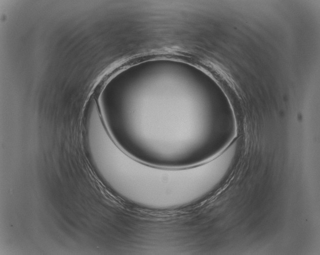 X0000083621308200702201305