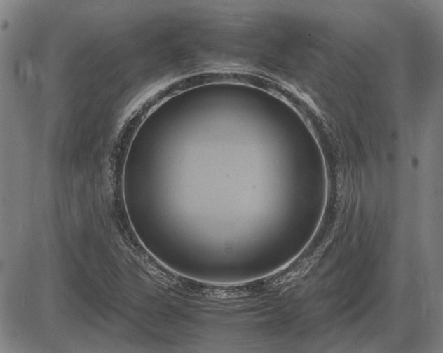 X0000083621311200702201305
