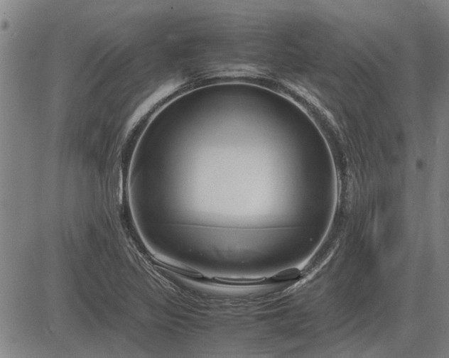 X0000083621317200702201306