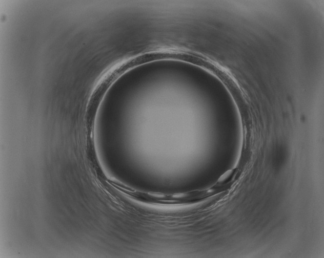 X0000083621319200702201306